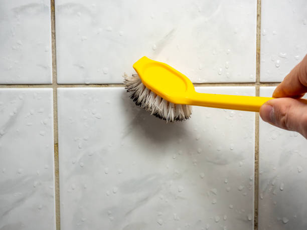 Best Mold Removal Process  in Ferndale, PA