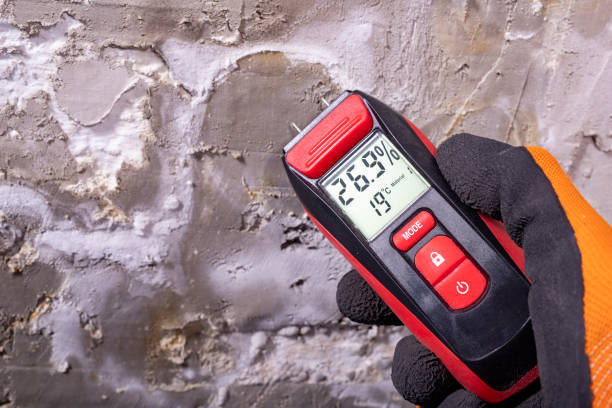Best Toxic Mold Removal  in Ferndale, PA