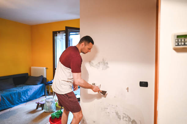 Mold Removal Process in Ferndale, PA